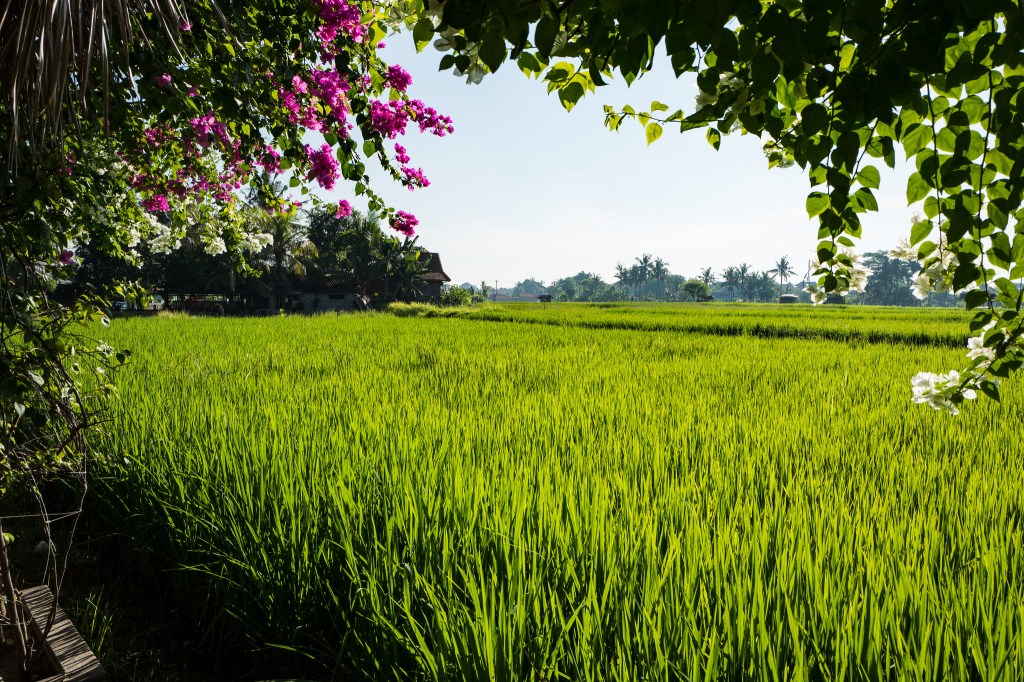 The Consequences of Procuring an Unfair Preference Payment [Insolvency & Company Law] [Directors’ Duties and&nbsp;Liabilities]