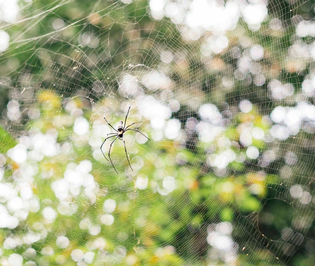 The Registrability of Contractual Liens under Section 131 of the Companies&nbsp;Act