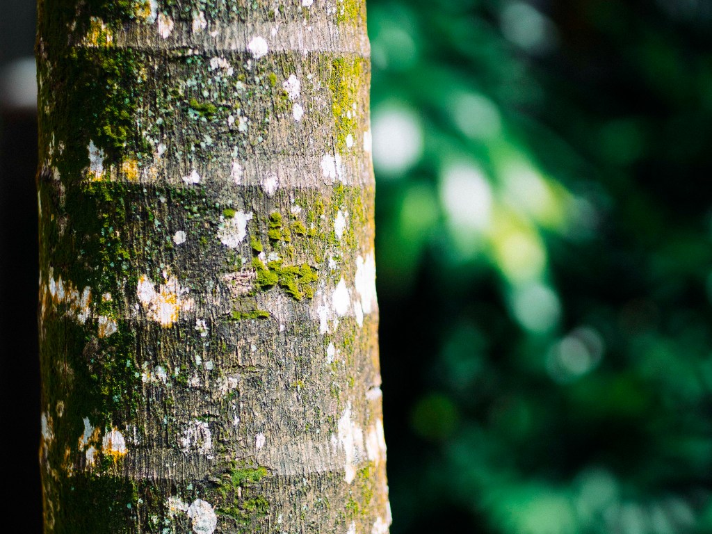 Construction of Contracts [Contract Law] [Employment&nbsp;Law]