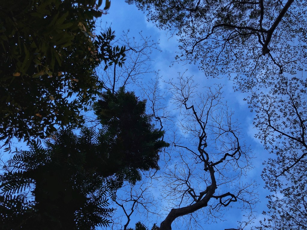 Contingent Liabilities As A Basis For The Composition of Debts [Insolvency Law] [Restructuring] [Company Law] [Companies Act] [Statutory&nbsp;Interpretation]