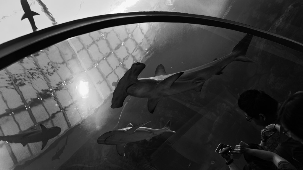 A Public Platform To Rate Doctors?